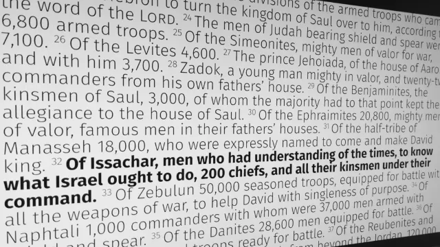 Screenshot of 1 Chronicles 12:32
